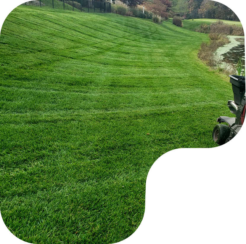 Beautifully maintained green lawn