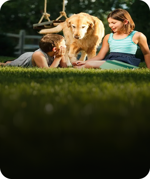 Flea and Tick Control